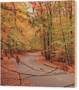 Autumn In Holmdel Park Wood Print