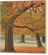 Autumn In Park Wood Print