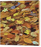 Autumn Leaves Wood Print