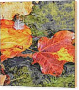 Autumn Leaves Wood Print