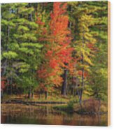 Autumn On Fourth Lake Wood Print