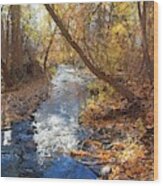 Autumn Powers Creek Wood Print