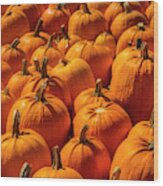 Autumn Pumpkin Field Wood Print