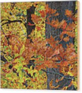 Autumn Splendour In Ontario Ii Wood Print