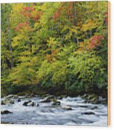 Autumn Stream Wood Print