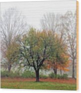 Autumn Trees In The Fog 2 Wood Print