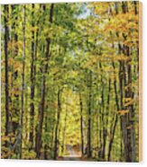 Autumn Wandering - Ontario Backroads 9 Wood Print