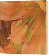 Autumnal Alstroemeria Wood Print