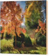 Autumnal Glory Wood Print