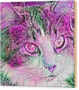 Awesome Pink Kitty Face Wood Print