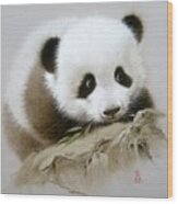 Baby Panda With Bamboo Leaves Wood Print