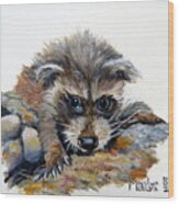 Baby Raccoon Wood Print