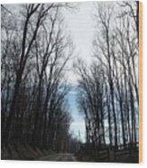 Back Road In Maryland Wood Print