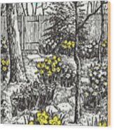 Backyard Garden With Daffodils Wood Print