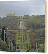 Bahai Gardens And Temple - Haifa, Israel Wood Print