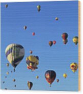 Balloon Festival In Albuquerque Wood Print