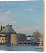 Baltimore Harbor On A Summer Evening Wood Print