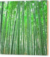 Bamboo Grove Wood Print