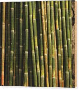 Bamboo Wood Print