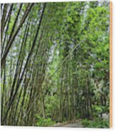 Bamboo Walk Wood Print