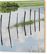 Barbed Wire Fence Farm Pond Wood Print