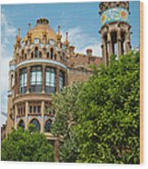 Barcelona Old Hospital Wood Print