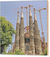 Barcelona, Sagrada Familia Wood Print