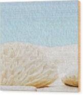 Beach Rocks At Seven Mile Beach In Grand Cayman Wood Print