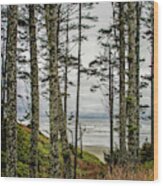 Beach Trees Wood Print