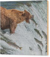 Bear Fishing Wood Print