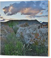 Beautiful Boulders At Sunset In Book Cliffs Desert Wood Print