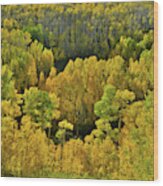 Beautiful Fall Colors At Woods Lake State Wildlife Area Wood Print