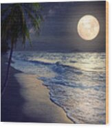 Beautiful Fantasy Tropical Beach Wood Print