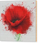 Beautiful Red Poppy Closeup On A White Wood Print