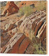 Beautiful Sandstone Cove In Valley Of Fire Wood Print