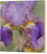 Beauty Of Irises. Frau Musika 1 Wood Print