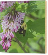 Bee On A Lilac Wood Print