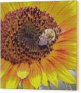 Bee On A Sunflower Wood Print