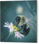 Bee On Flower Wood Print