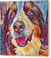 Bernese Mountain Dog Wood Print