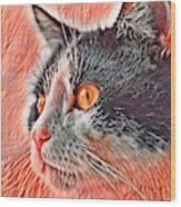 Big Head Tuxedo Cat Orange Eyes Wood Print