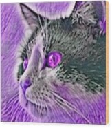 Big Head Tuxedo Cat Purple Eyes Wood Print