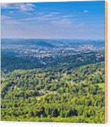 Binghamton Aerial View Wood Print
