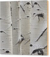 Birch Trees In A Row Close-up Of Trunks Wood Print