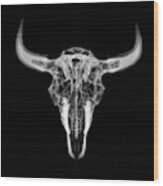Bison Skull X-ray 01bw Wood Print