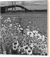 Black And White Of Blooming Flowers By The Bridge At The Straits Wood Print