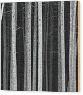 Black And White Pine Tree Trunks Wood Print