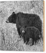 Black Bear Sow With Junior Black And White Wood Print