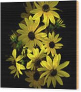 Black Eye Susan Wood Print