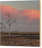 Bleached Beauty And Her Two Admirers - Dead Cottonwood Tree On Nd Prairie Wood Print